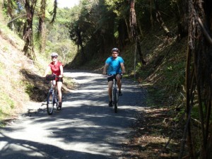 cycling